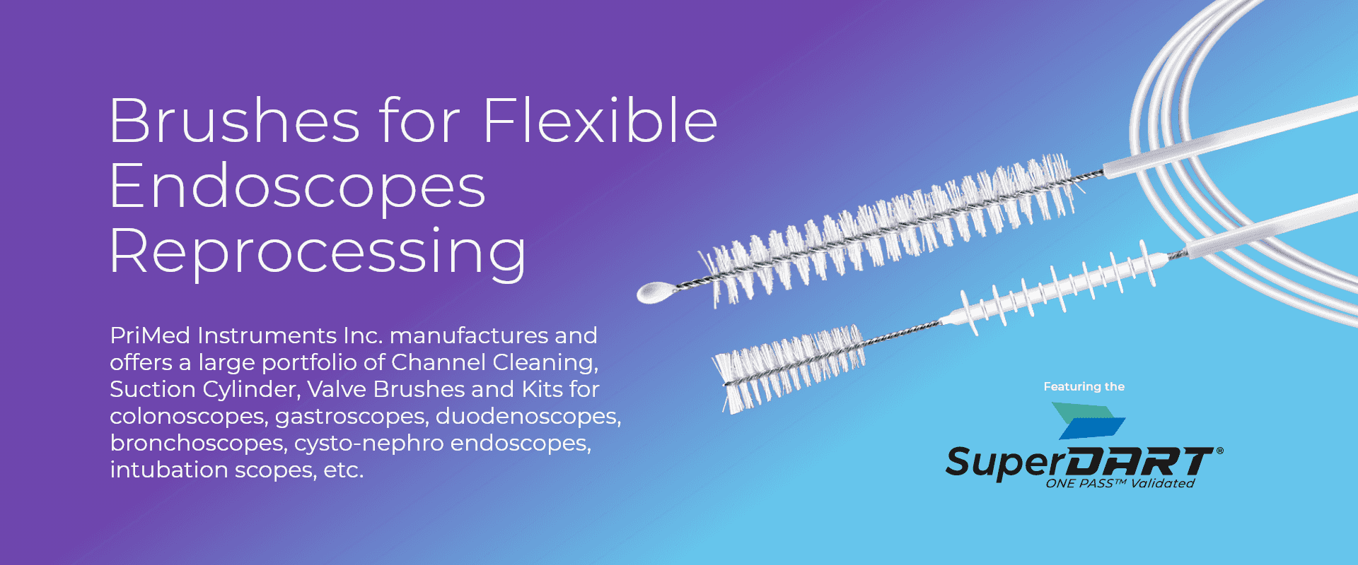 Brushes for Flexible Endoscopes Reprocessing